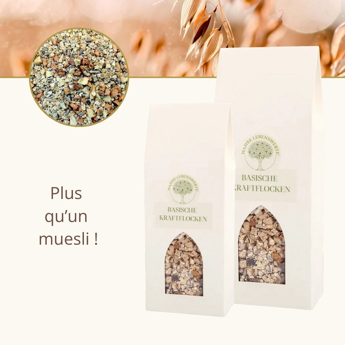 Flocons Énergétiques Alcalins